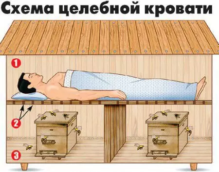 Апи домики для пчел размеры чертежи фото — изображение 18