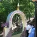Мазь живокоста своими руками — изображение 5