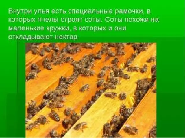 Изделие пчелы и соты — изображение 9