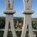 Мазь живокоста своими руками — изображение 9