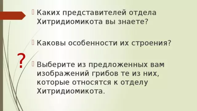 Отдел аскомикота или сумчатые грибы 7 класс — изображение 22