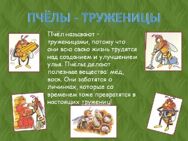 Изделие пчелы и соты — изображение 3