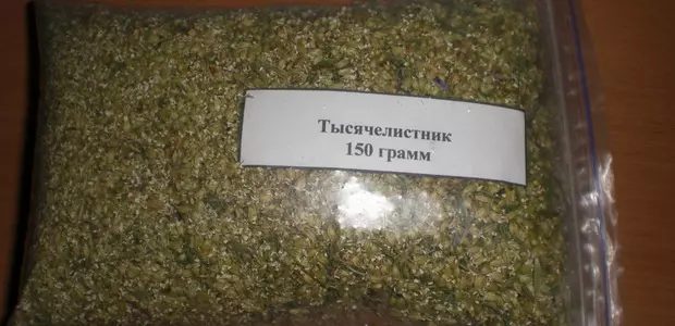 Тысячелистник почему так называется — изображение 43