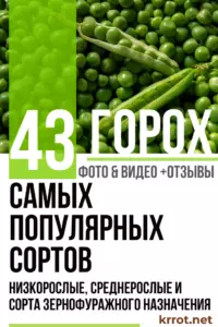 Смотровая яма в гараже из шлакоблока — изображение 23