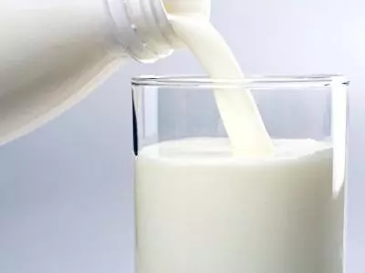 Сколько белка в литре молока — изображение 6