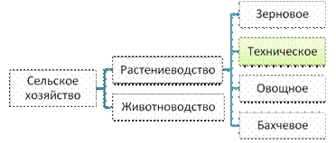 Районы выращивания технических культур в россии — изображение 10