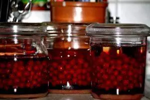 Красная смородина при простуде — изображение 9