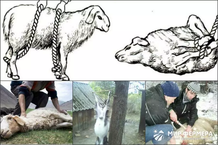 Нож для резки барана — изображение 8