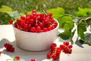 Красная смородина при простуде — изображение 11