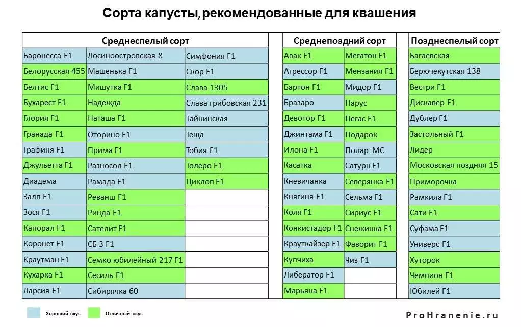 Как сохранить нашинкованную капусту — изображение 3