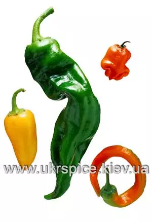 Анис на что похож вкус