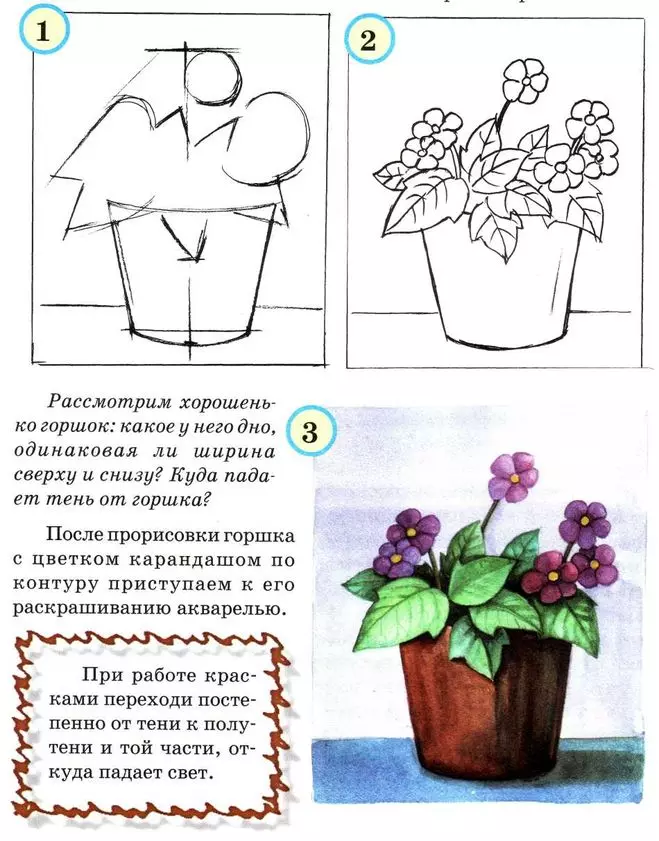 Как нарисовать драцену в горшке карандашом поэтапно — изображение 29