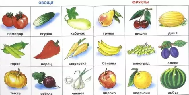 Растения которые нас кормят одевают лечат — изображение 3
