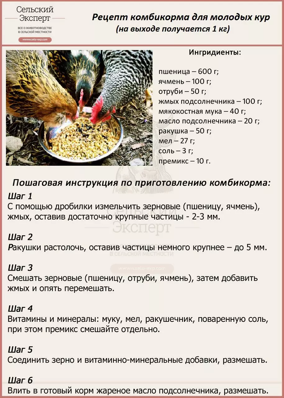 Дед чтп кормление кур — изображение 23