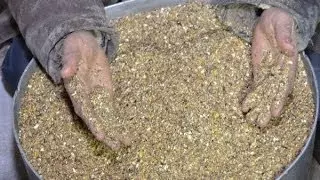 Дед чтп кормление кур — изображение 36