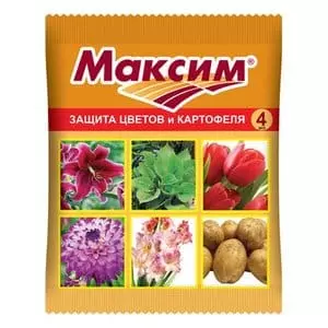 Как обработать чеснок фитоспорином перед посадкой — изображение 7
