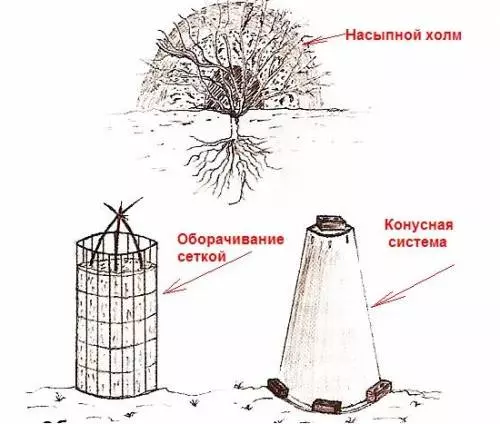 Когда обрезать розы осенью в ростовской области — изображение 15
