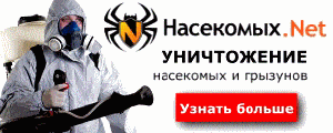 Мандариновые корки от моли — изображение 4