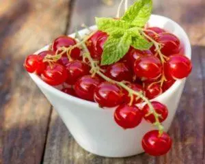 Красная смородина при простуде — изображение 12