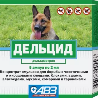 Чем обработать пол в вольере для собак — изображение 21