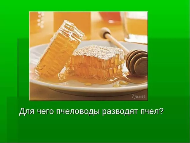 Изделие пчелы и соты — изображение 12