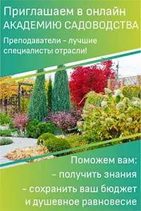 Птицы вьют гнезда осенью — изображение 4