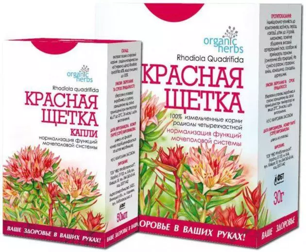 Шиповник при обильных месячных — изображение 7