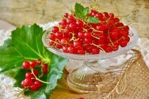 Красная смородина при простуде — изображение 4
