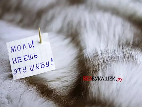 Мандариновые корки от моли — изображение 12