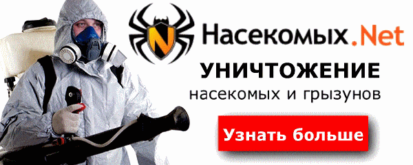 Мандариновые корки от моли — изображение 3