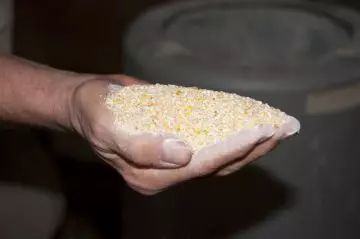 Сыворотка для кур несушек — изображение 6