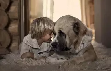 Рассказ про собаку для 1 класса — изображение 2