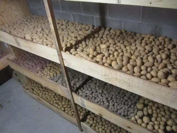 Можно ли хранить картошку в картонной коробке — изображение 9