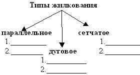 Определите внешнее строение листьев тип жилкования — изображение 14