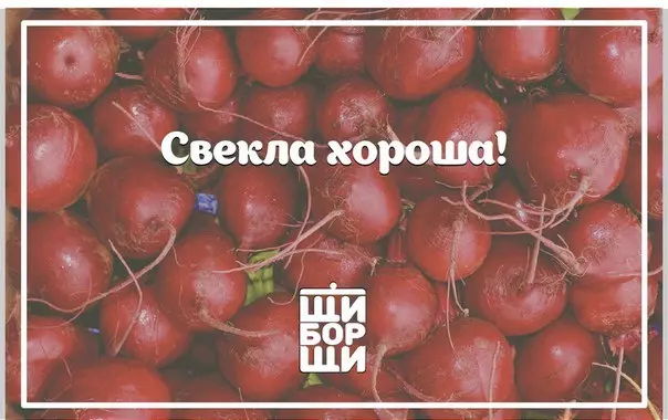 Сорт свеклы для борща — изображение 4