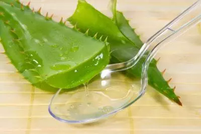 Как сделать мазь из алоэ — изображение 10