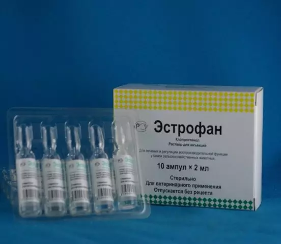 Как сбить охоту у свиньи
