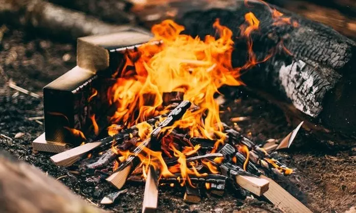 Тополь на дрова отзывы — изображение 6